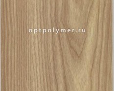 Дуб Европейский