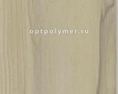 Олива