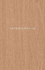 Дуб старый