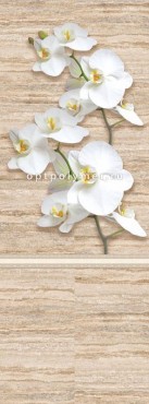 Контарини (узор 4 панели)